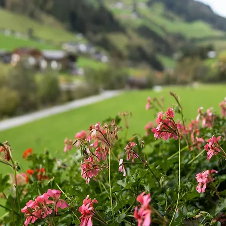Near Slopes