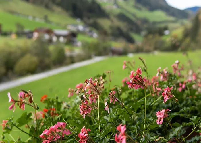 Near Slopes